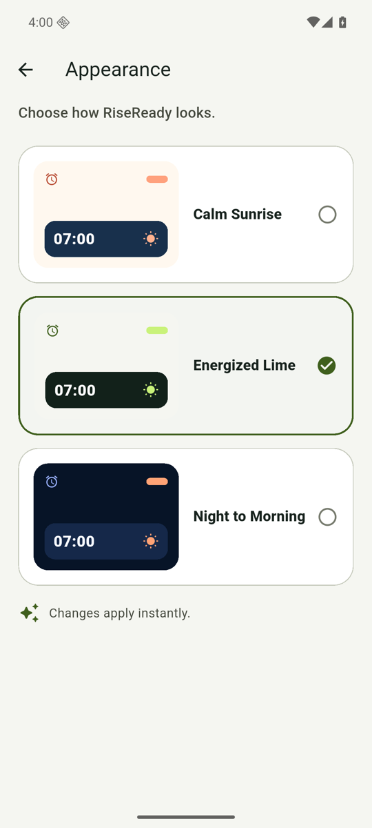 RiseReady appearance screen showing its selectable visual themes